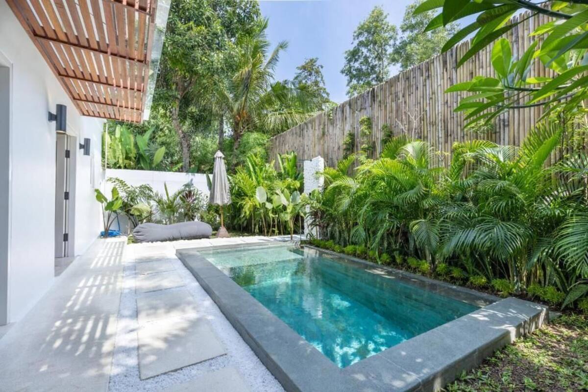 A rectangular pool with a stone border, surrounded by lush greenery and a wooden fence.