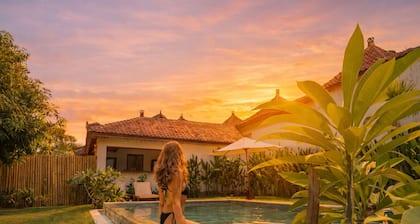 The Confidential Mandalika