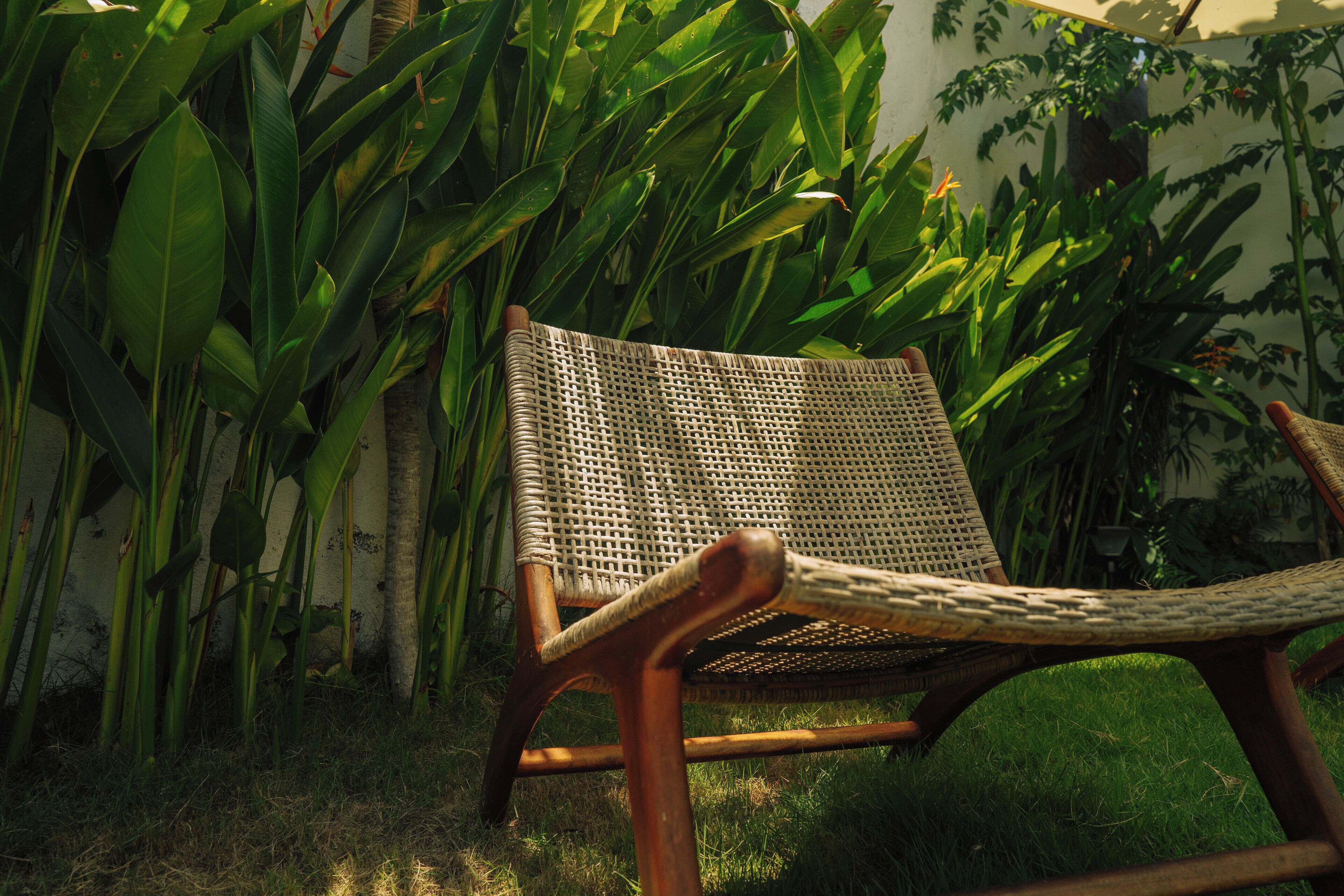 Une chaise en osier dans un jardin, entourée d’une végétation luxuriante et verdoyante, avec un mur blanc en arrière-plan.