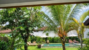 Un espacio al aire libre cubierto con un camino que lleva a una piscina, rodeado de exuberante vegetación y palmeras.