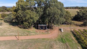 Propriedade rural com uma pequena cabana, estrada de terra e vegetação ao redor.