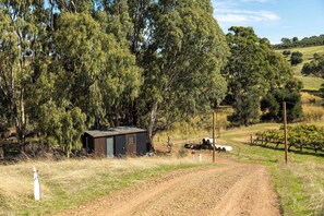 Property grounds - Pedlar Creek Tiny House by Tiny Away (McLaren Vale)