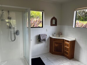 Shower, hair dryer, towels, soap