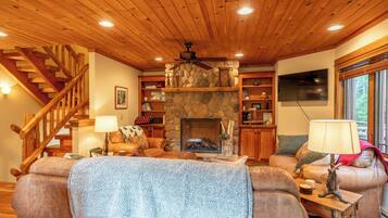 Télévision, cheminée, livres