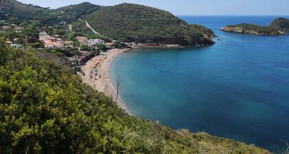 A DUE PASSI DAL MARE - A DUE PASSI DAL MARE