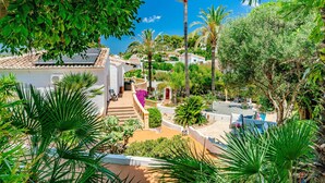 Une villa située sur la côte, dotée d’une terrasse, de palmiers et offrant une vue sur la mer.