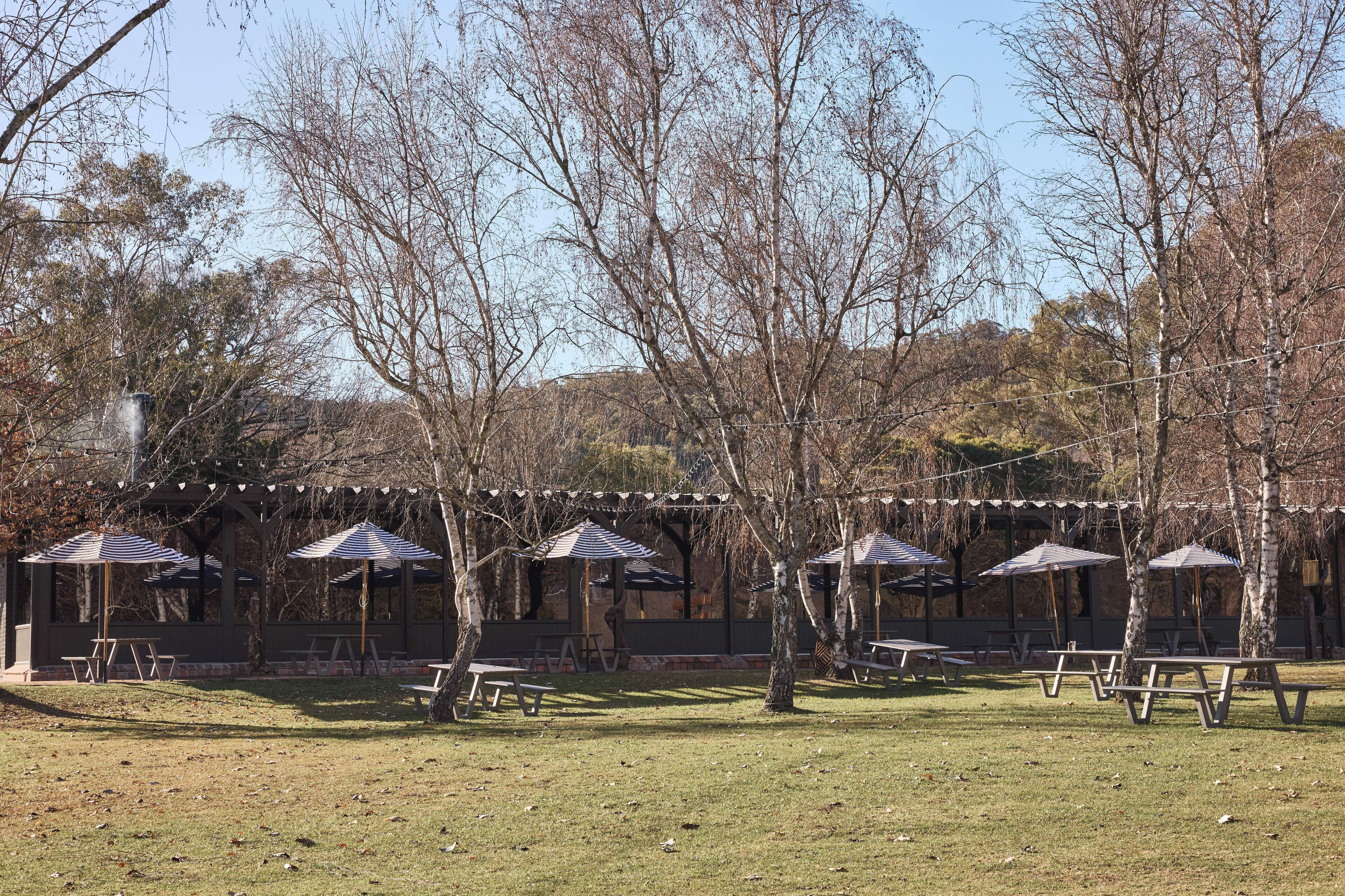 A park with picnic tables and umbrellas, surrounded by trees and a building in the background.