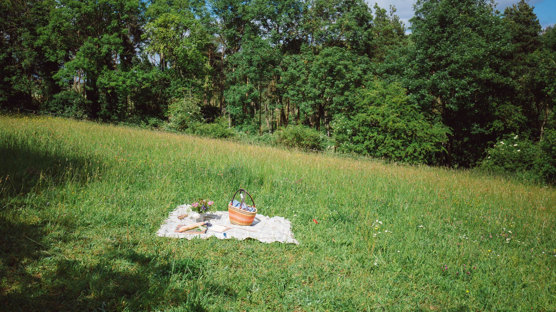 Un'area picnic con cestino e coperta su un prato, sullo sfondo alberi.