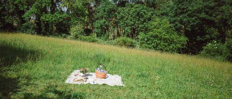 Un'area picnic con cestino e coperta su un prato, sullo sfondo alberi.