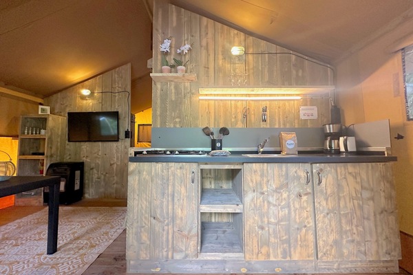 Fridge, stovetop, coffee/tea maker