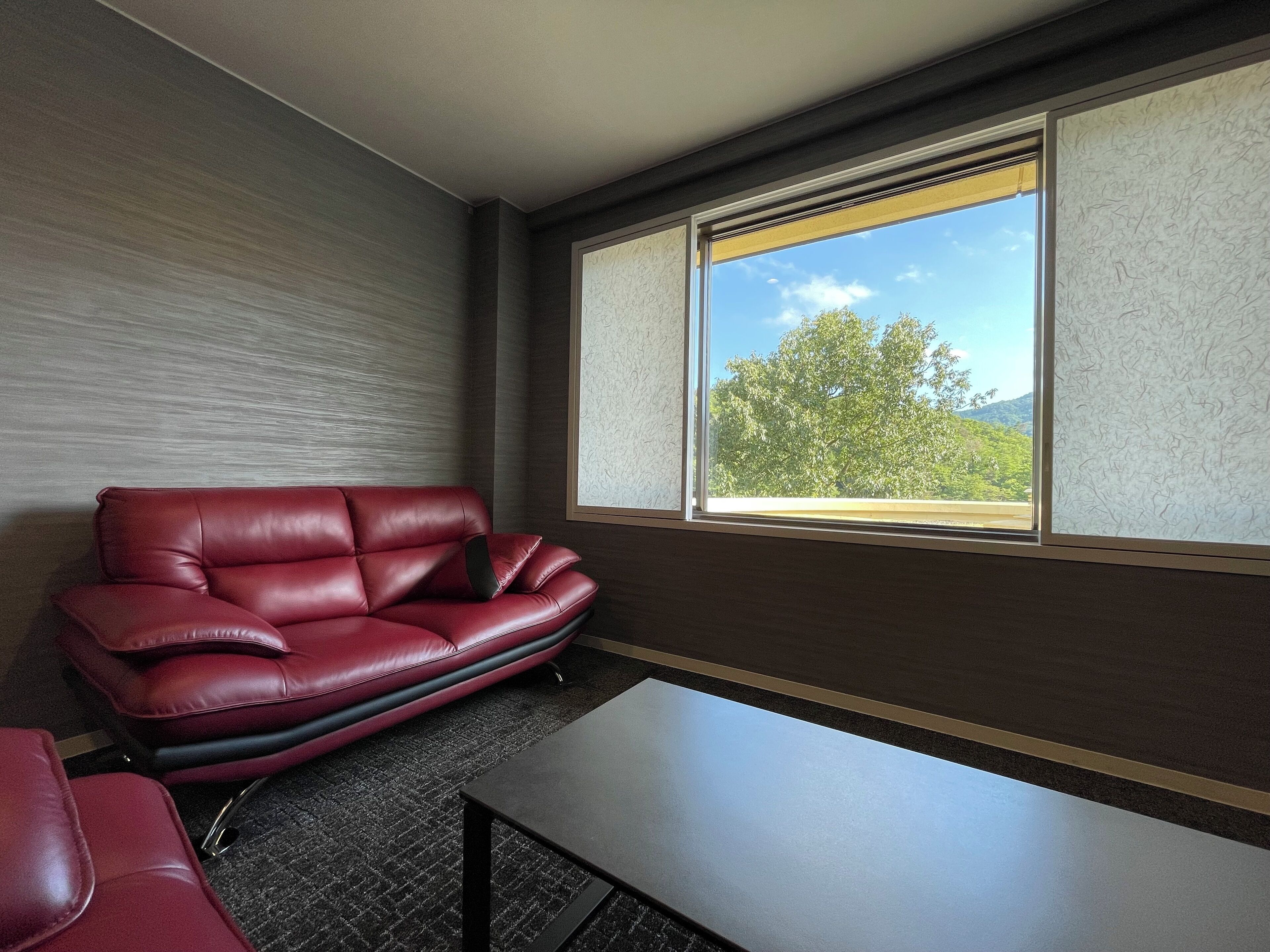 エグゼクティブ スイート | レイク ビュー