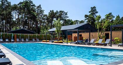 Chalet by Park Pond in the Netherlands