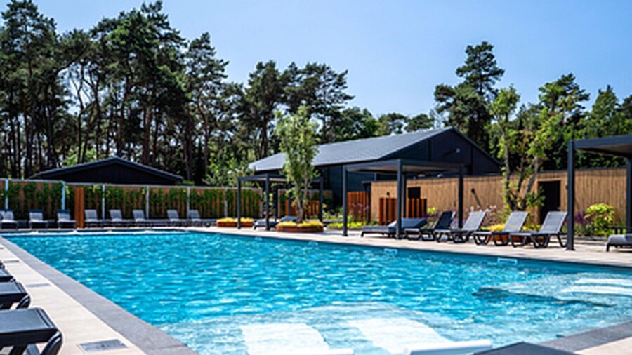 Chalet by Park Pond in the Netherlands