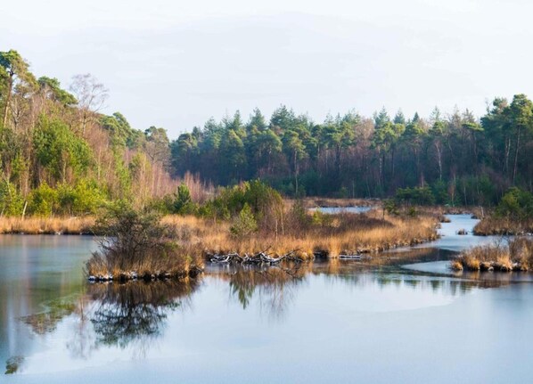 Chalet | View from property