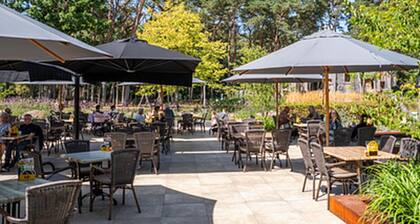 Chalet by Park Pond in the Netherlands