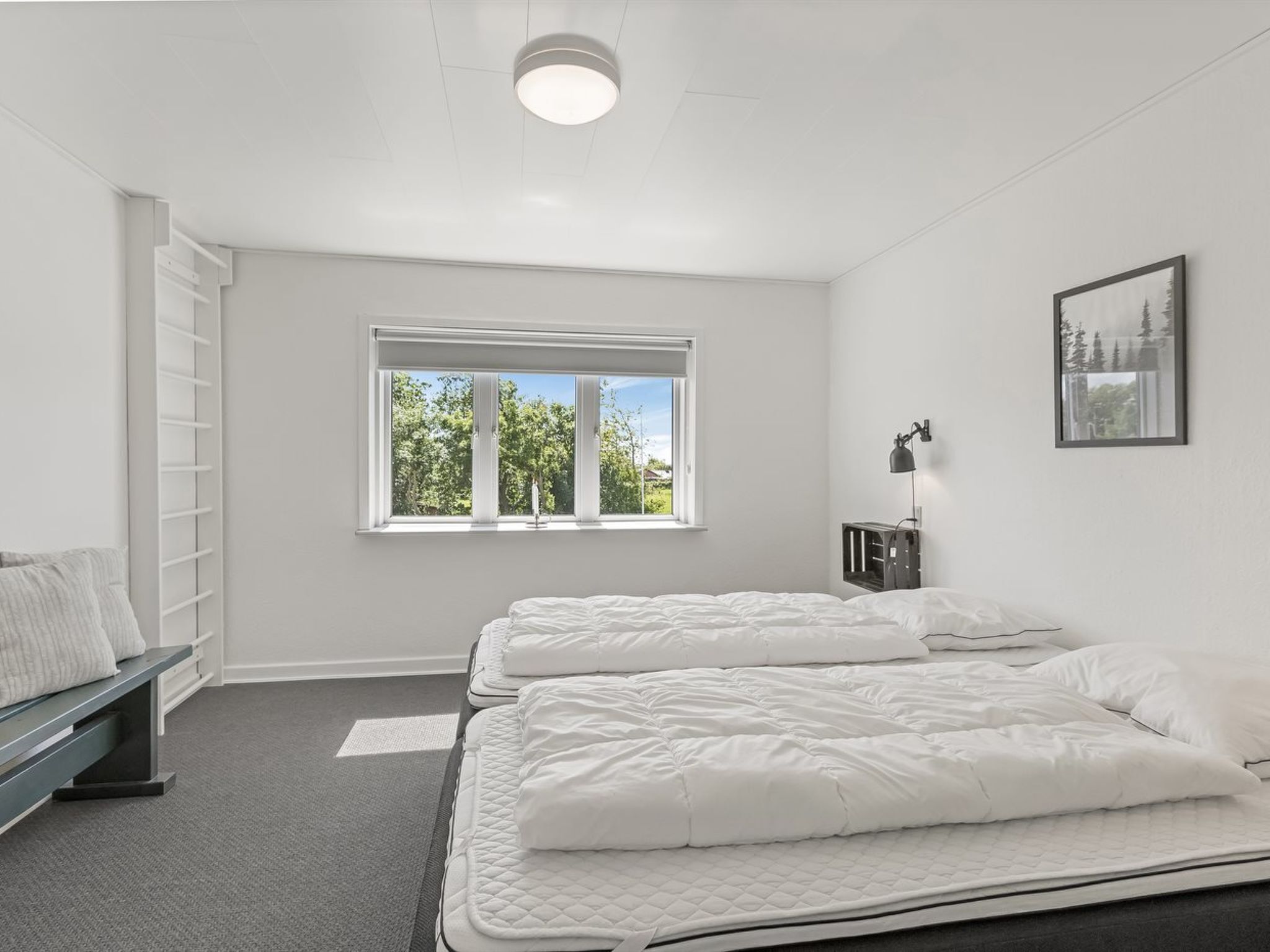 A bedroom with two beds, a window with a view of trees, a bedside table with a lamp, and a wall-mounted picture.