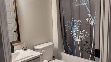 Hair dryer, towels, shampoo, toilet paper