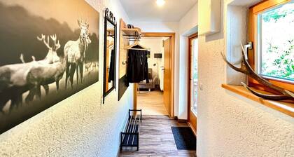 Neu renovierte Ferienwohnung Reiter Alm, 40qm, mit Balkon