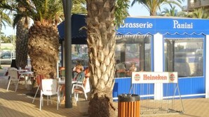 An outdoor seating area with palm trees and a blue and white building labeled "Brasserie Panini."