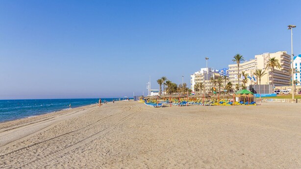 A beach with a row of beach chairs and umbrellas, palm trees, and buildings in the background.
