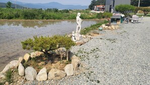 A serene outdoor area with a pond, a stone statue, and a modern building in the background.