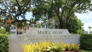 Señal de los Jardines Botánicos Marie Selby, con un muro de piedra y diversas plantas al frente.