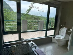 Hiustenkuivaaja, pyyhkeet, saippua, sampoo