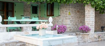 Authentic Dalmatian Treasure Homes