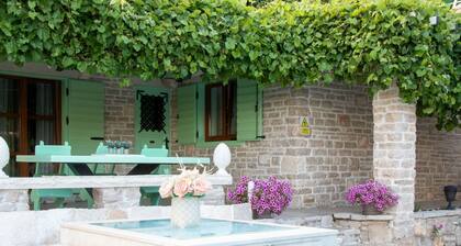 Authentic Dalmatian Treasure Homes