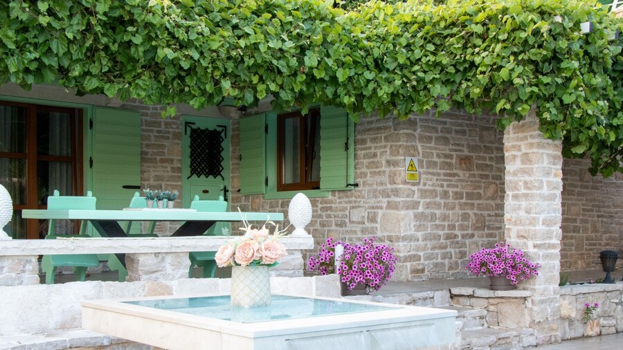 Authentic Dalmatian Treasure Homes