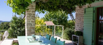 Authentic Dalmatian Treasure Homes