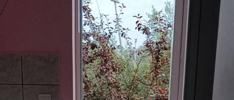 Apartamento | 1 dormitorio