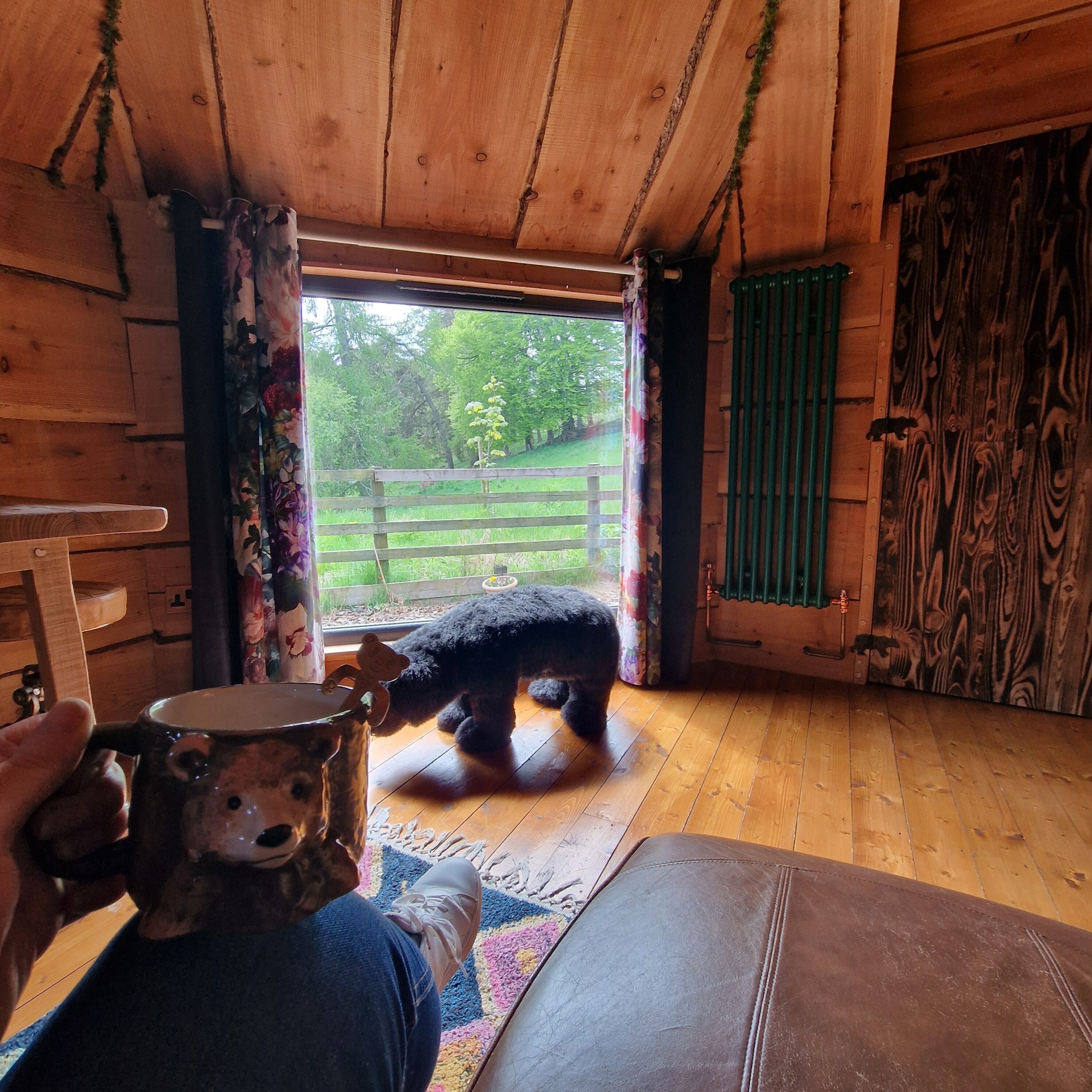 Interior de una cabaña de madera con un amplio ventanal, piso de madera y una puerta rústica.