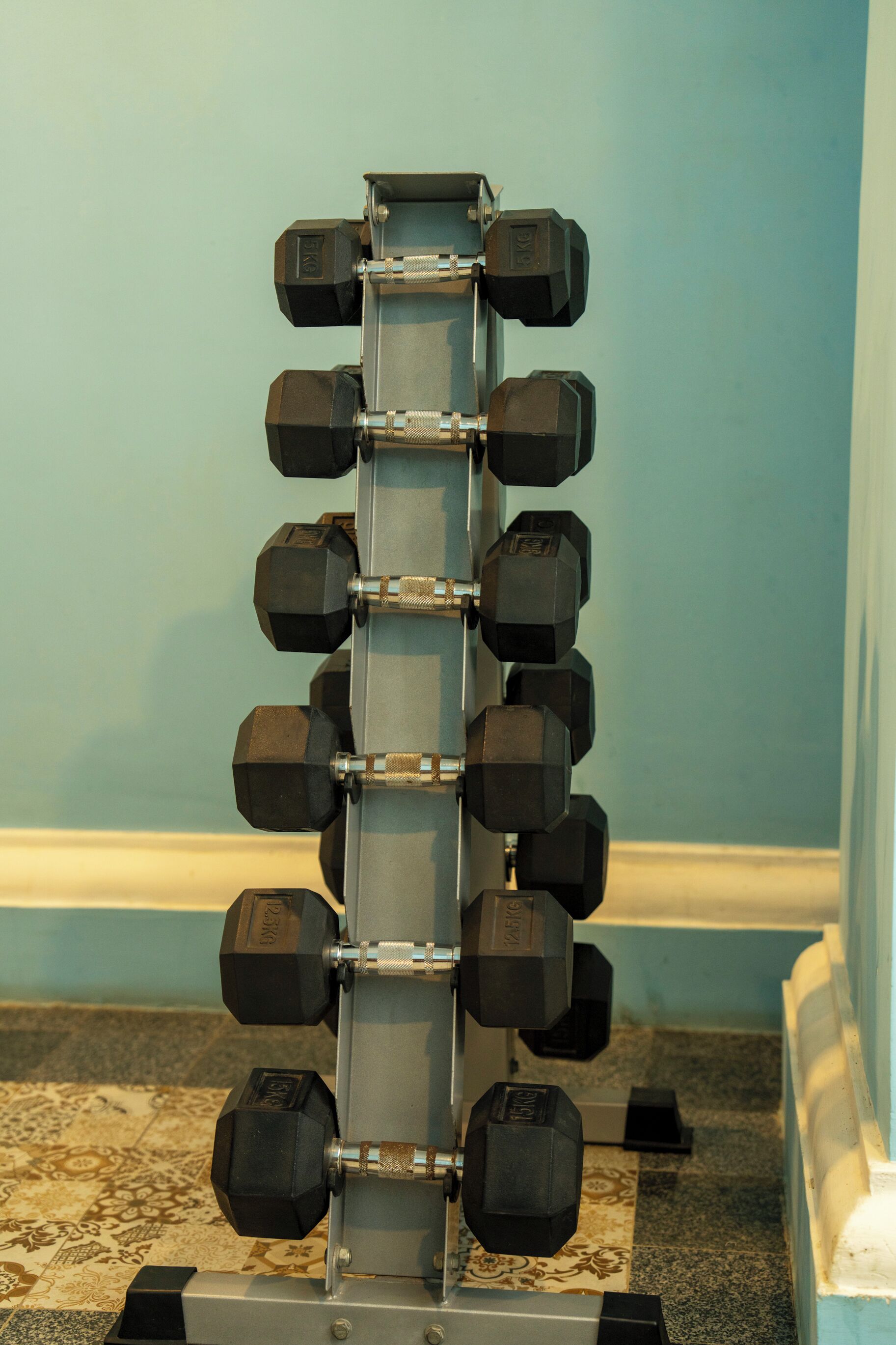 A wall-mounted dumbbell rack with multiple pairs of black dumbbells against a blue wall.