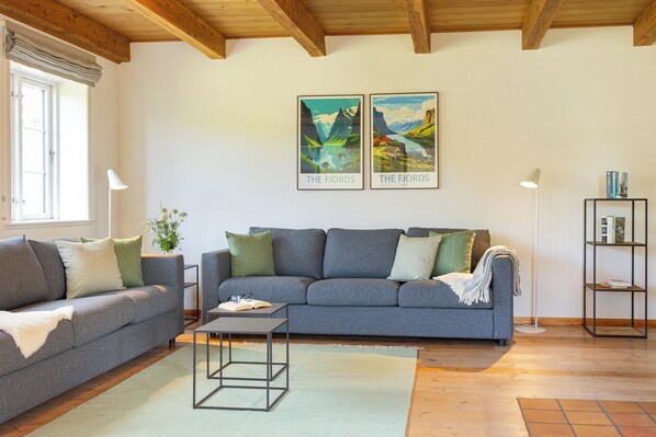 Téléviseur, foyer, livres