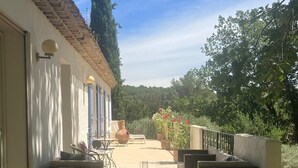 Un patio con mobiliario exterior, una mesa y una planta en maceta.