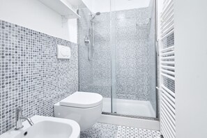 Shower, hair dryer, bidet, towels