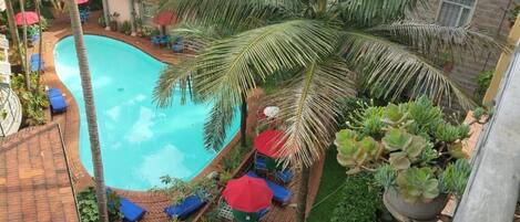 A swimming pool surrounded by palm trees and blue lounge chairs.