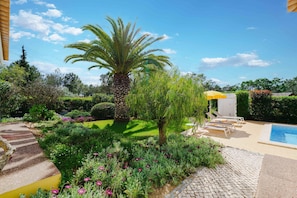 Un jardin avec un palmier, une piscine et des chaises longues.