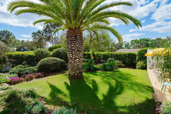 Ein gepflegter Garten mit einer Palme, ordentlich geschnittenen Hecken und verschiedenen blühenden Pflanzen.