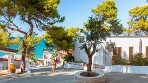 A coastal street with white buildings, trees, and a clear blue sky. - sfinal residence (Peschici)