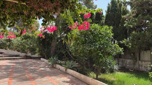 Ein gepflasterter Weg mit einer Fliesenbordur, umgeben von üppiger Vegetation und blühenden Pflanzen.