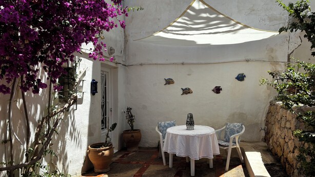 Eine Terrasse mit einem weißen Tisch und Stühlen, umgeben von Kübelpflanzen und dekorativen Fisch-Wandbildern.