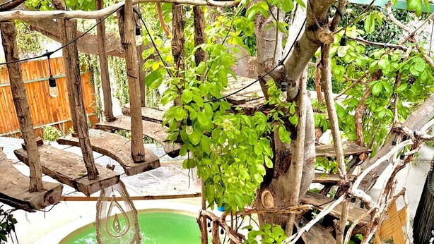 Una piscina circular con una isla central, rodeada de estructuras de madera y vegetación.