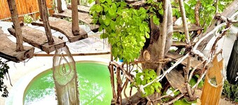 The Pool TreeHouse Hotel