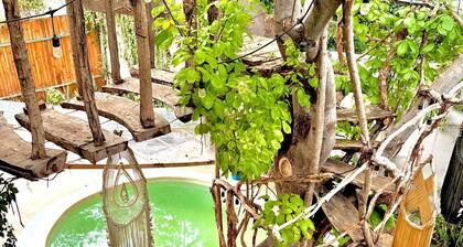 The Pool TreeHouse Hotel