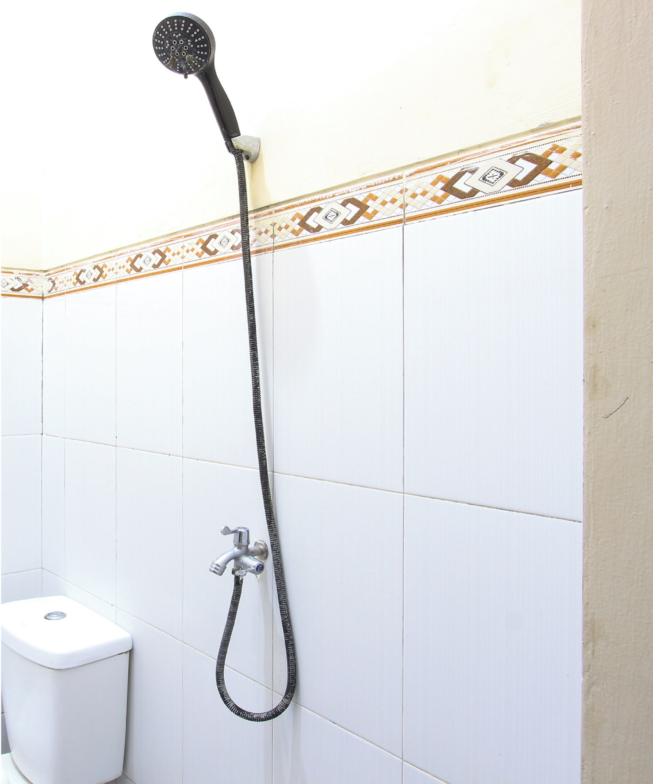 A shower with a handheld head, a wall-mounted faucet, and a toilet.