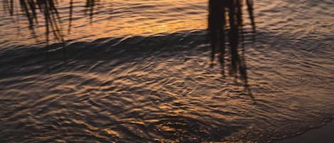 A sunset over a calm body of water with silhouettes of palm leaves in the foreground.