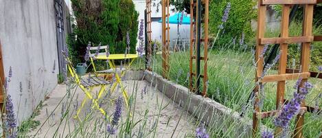 Overnatningsstedets område