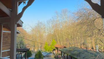 Chalet Comfort, 1 Tempat Tidur Queen, balkon, pemandangan gunung | 1 kamar tidur, seprai premium, meja kerja, dan ruang kerja ramah laptop